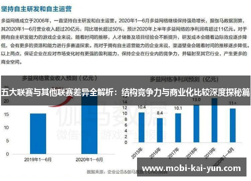 五大联赛与其他联赛差异全解析：结构竞争力与商业化比较深度探秘篇