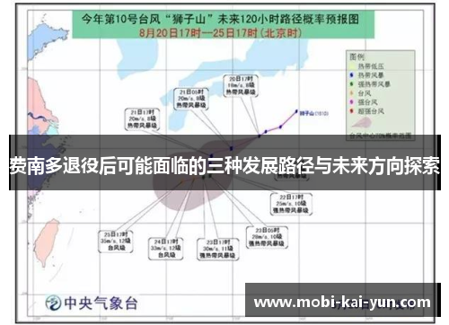 费南多退役后可能面临的三种发展路径与未来方向探索
